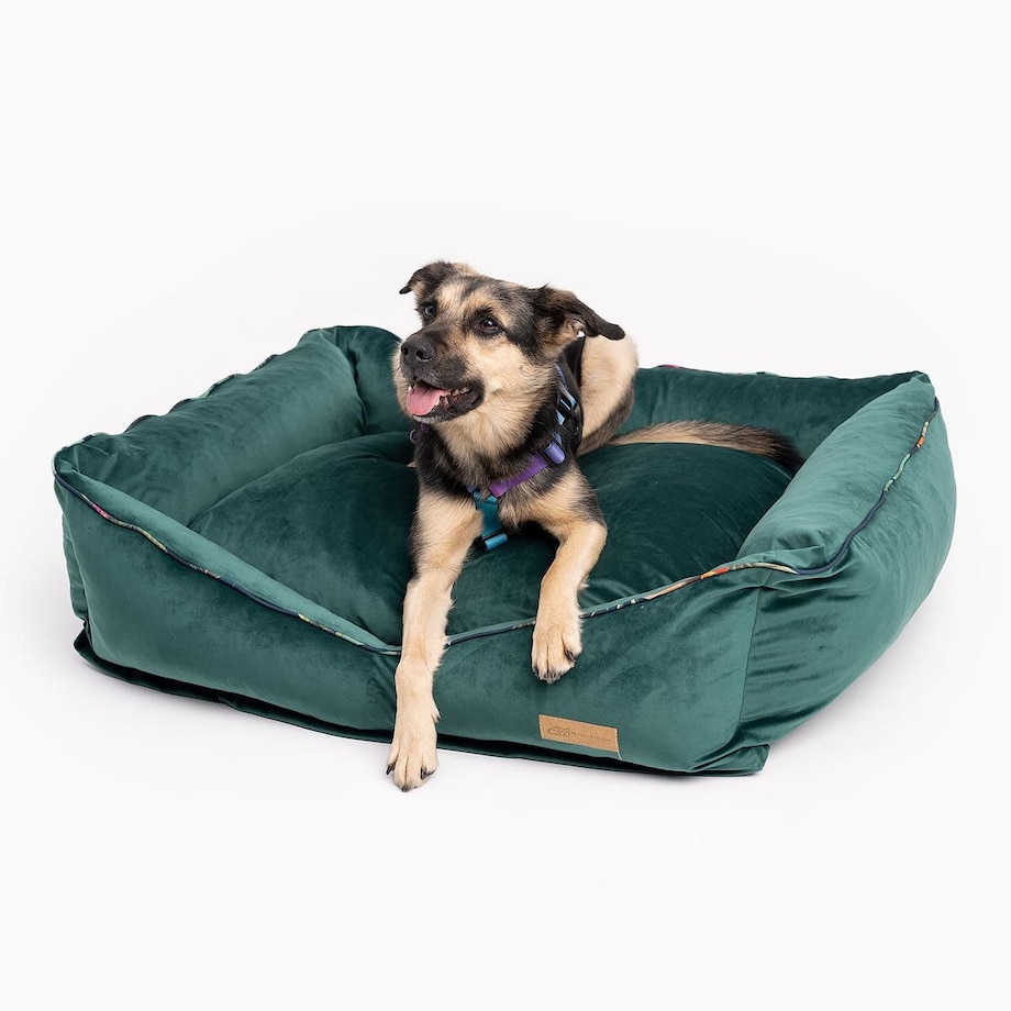 Kanapa welurowa "Psikolaż" - Rozmiar: M