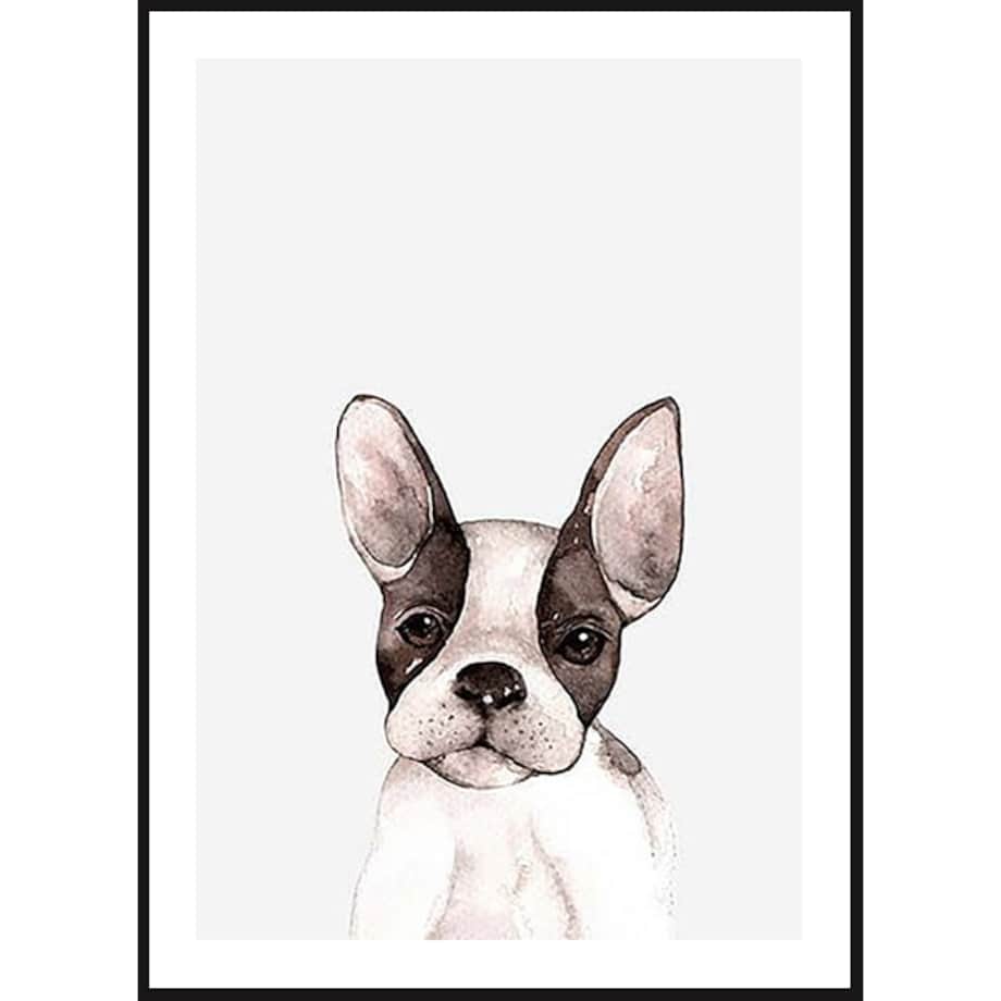 Poster Story, Plakat, Obraz - Buldog Francuski w Brązowe Łaty, wymiary 21 x 30 cm