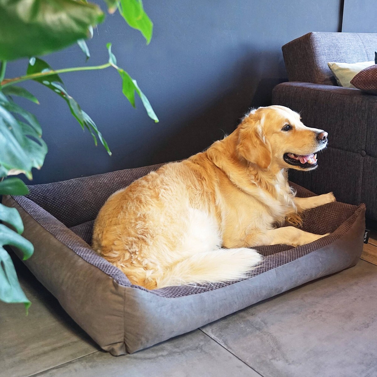 Przytulne legowisko dla psa TEO, 80x60 cm, Brąz