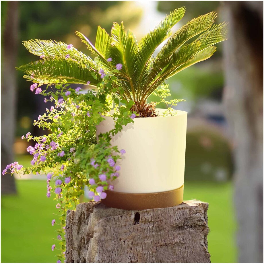 Doniczka Ogrodowa 23,9Cm Z Podstawką Do Domu Donica Plastikowa Gładka Biała