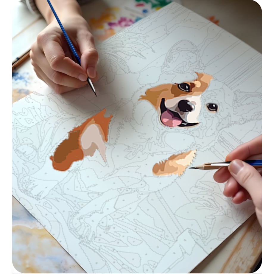 Malowanie po numerach obraz z ramą 40x50 Pies Massido