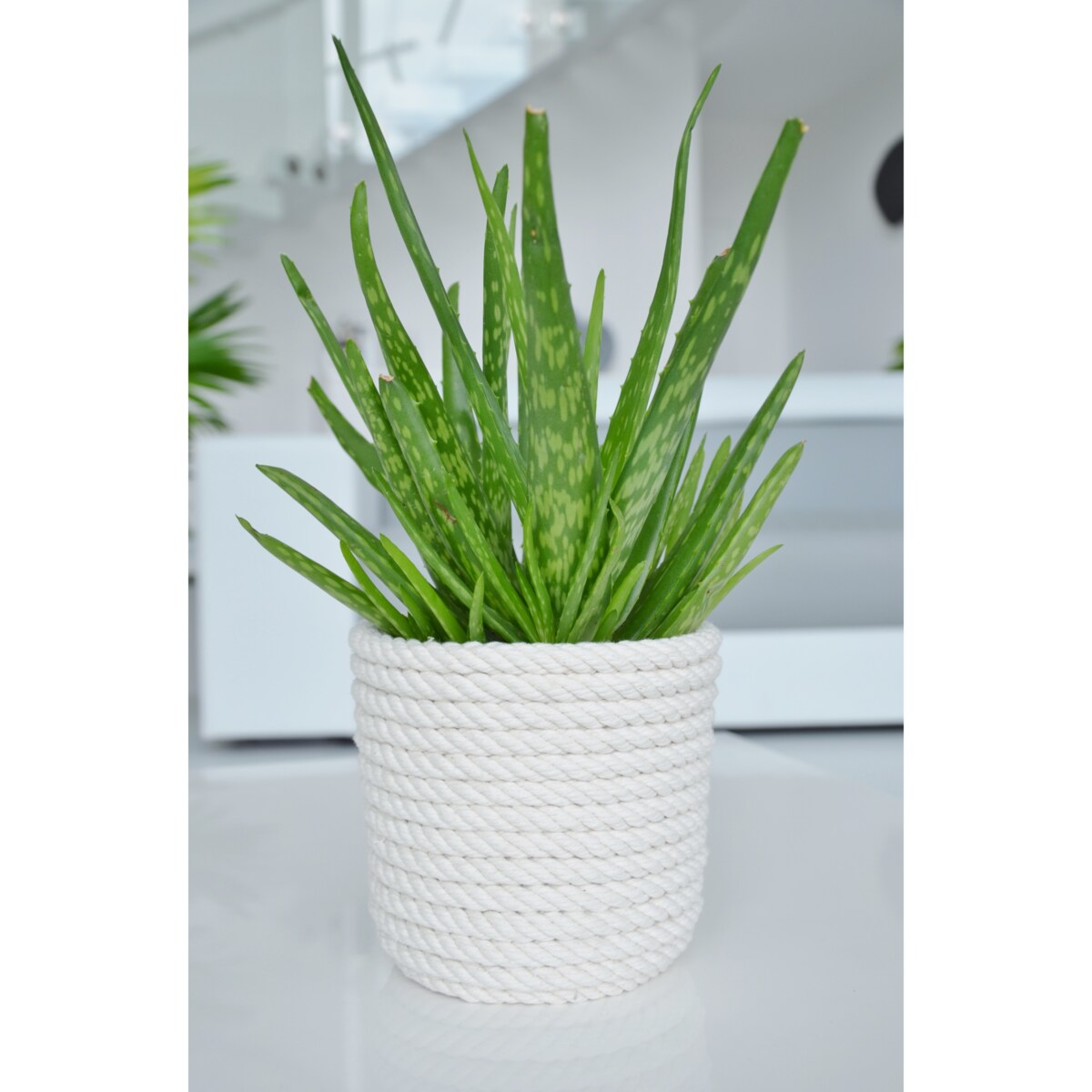 14 BOHO sznurek BIAŁA BAWEŁNA naturalna osłonka na doniczkę koszyk z trawy plecionej styl skandynawski etno loft marynistyczny wzór 14/BB10