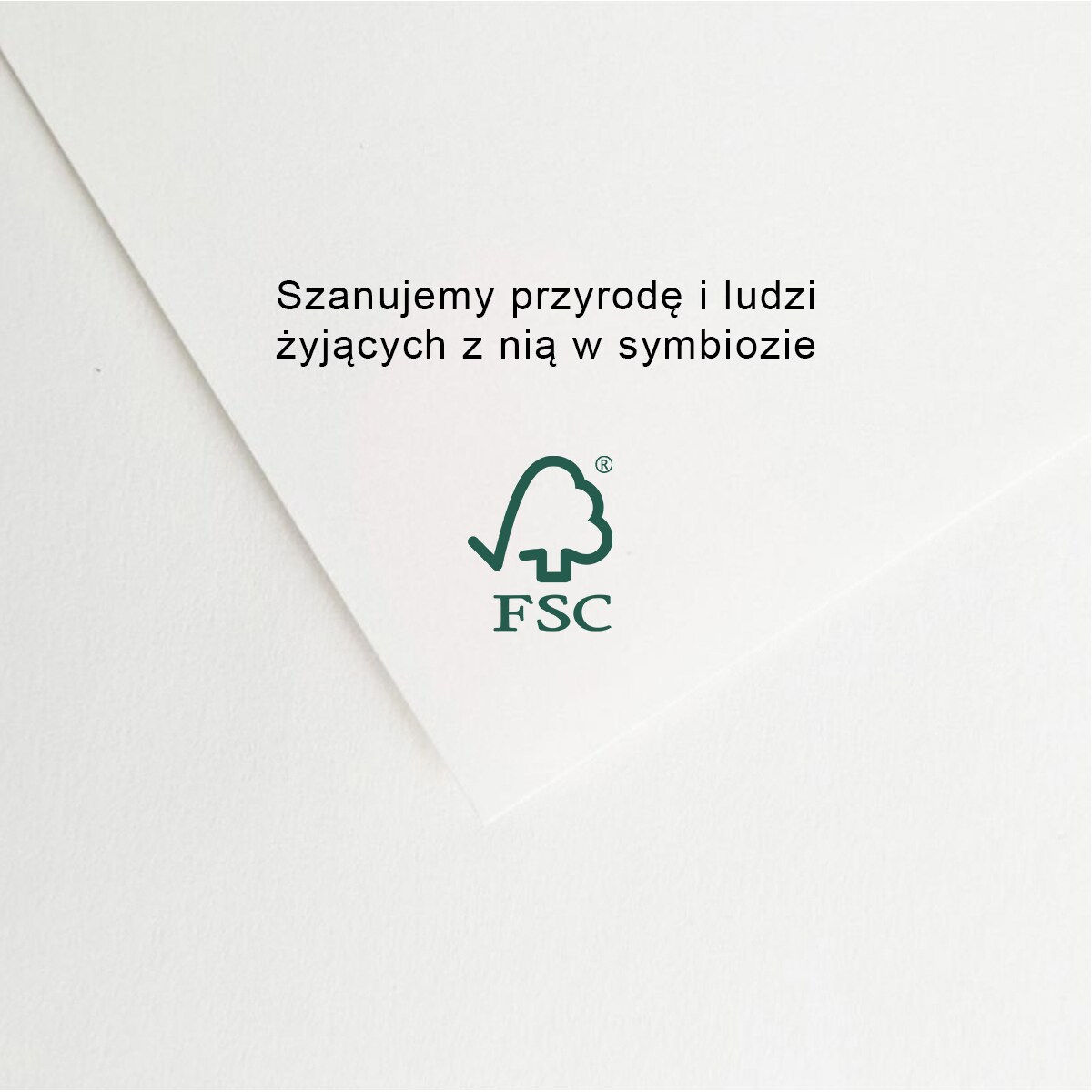 Plakat Amaryllis w Czarnej Ramce