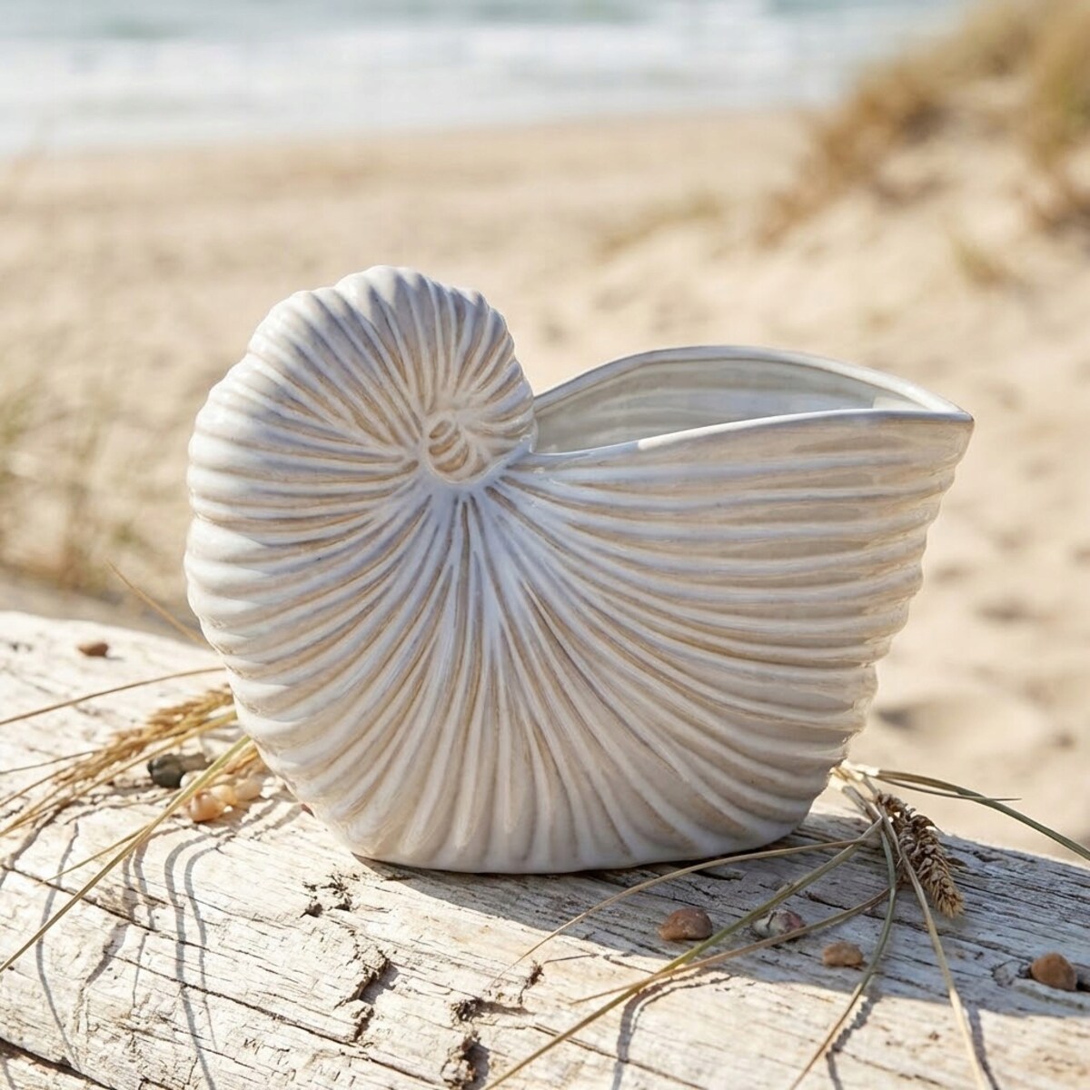 FIGURKA MUSZLA MARYNISTYKA RAFA KORALOWA CERAMICZNA DEKORACYJNA MUSZELKA