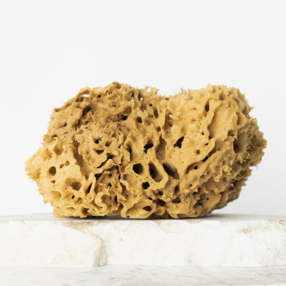 Naturalna gąbka morska (brązowa) - 17,5 cm 02H