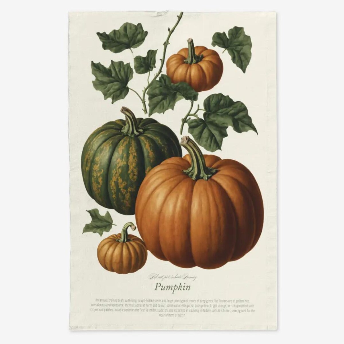 Lniany ręcznik kuchenny - Dynie