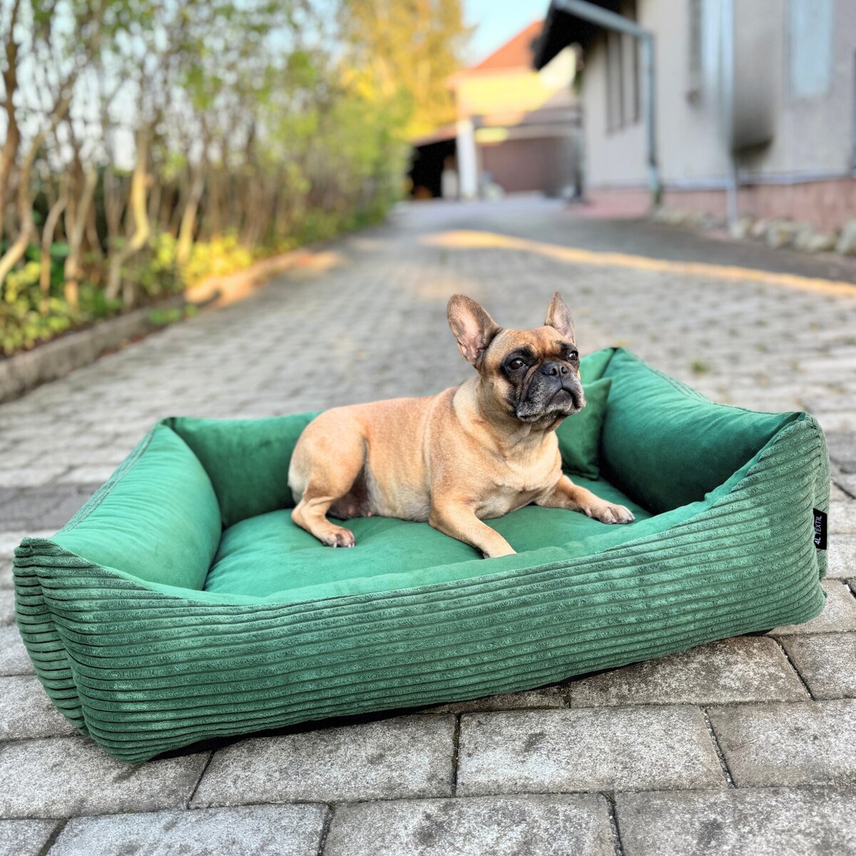 Sztruksowe legowisko dla psa MOLLY, 100x80 cm, Zieleń