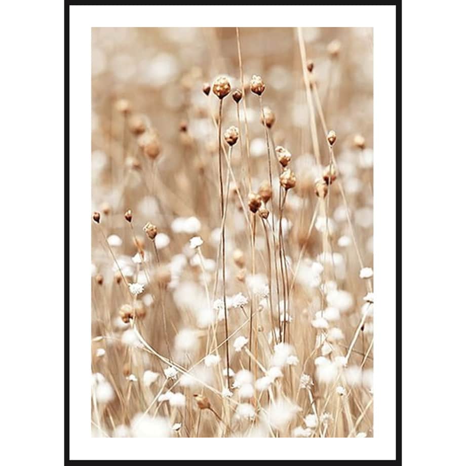 Poster Story, Plakat, Obraz - Naturalna Polna Trawa, wymiary 21 x 30 cm