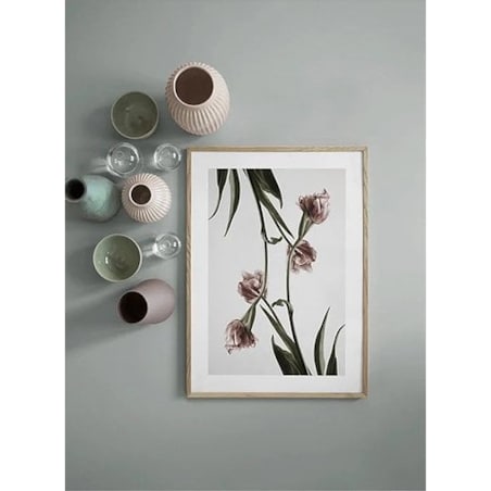Poster Story, Plakat, Obraz - Różowe Tulipany No4, wymiary 50 x 70 cm