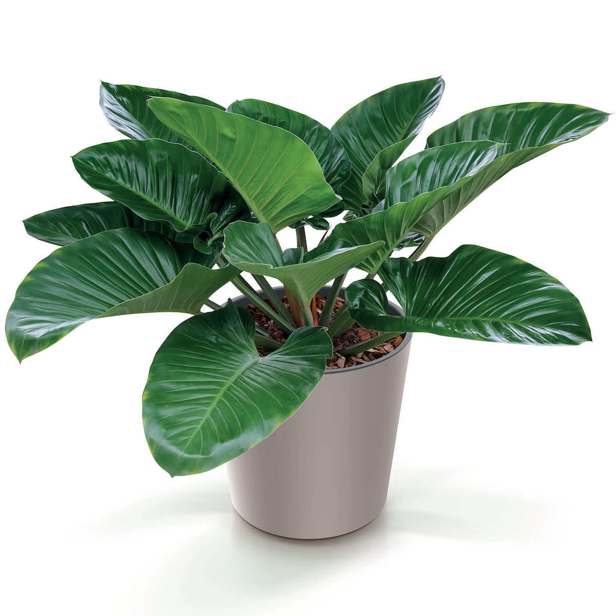 Doniczka Donica Ogrodowa 30 Cm Okrągła Na Taras Do Ogrodu Domu Mocca