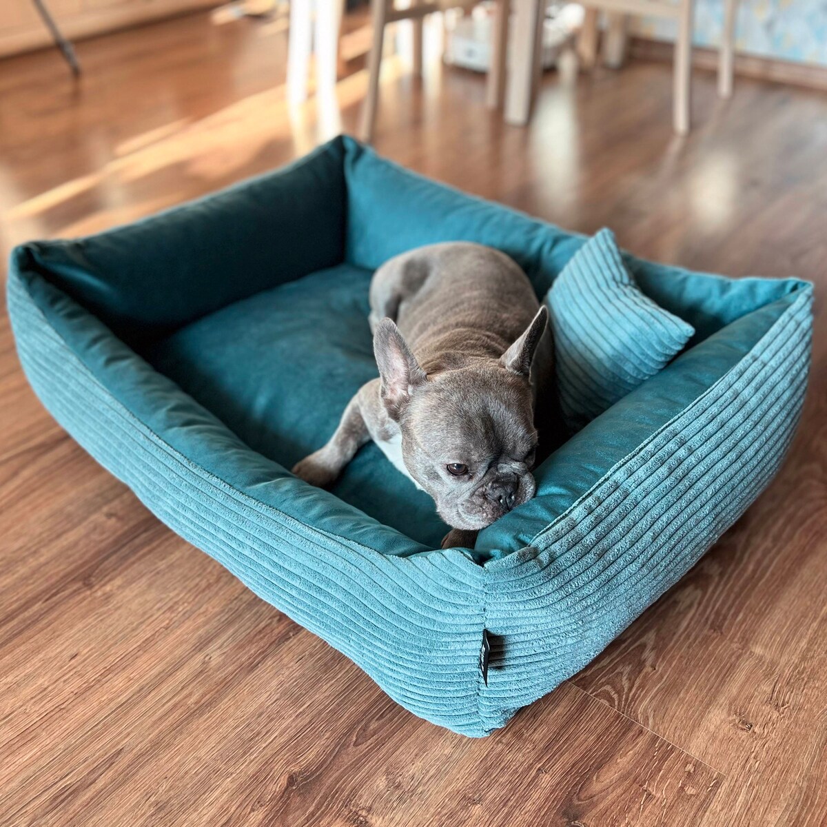 Sztruksowe legowisko dla psa MOLLY, 60x40 cm, Turkus