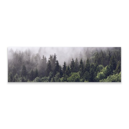 Obraz Panoramiczny Mglisty Las 145x45cm