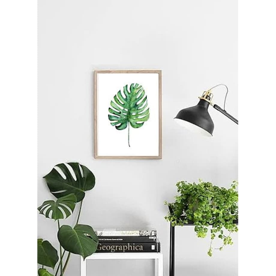 Poster Story, Plakat, Obraz - Liść Monstery, wymiary 21 x 30 cm