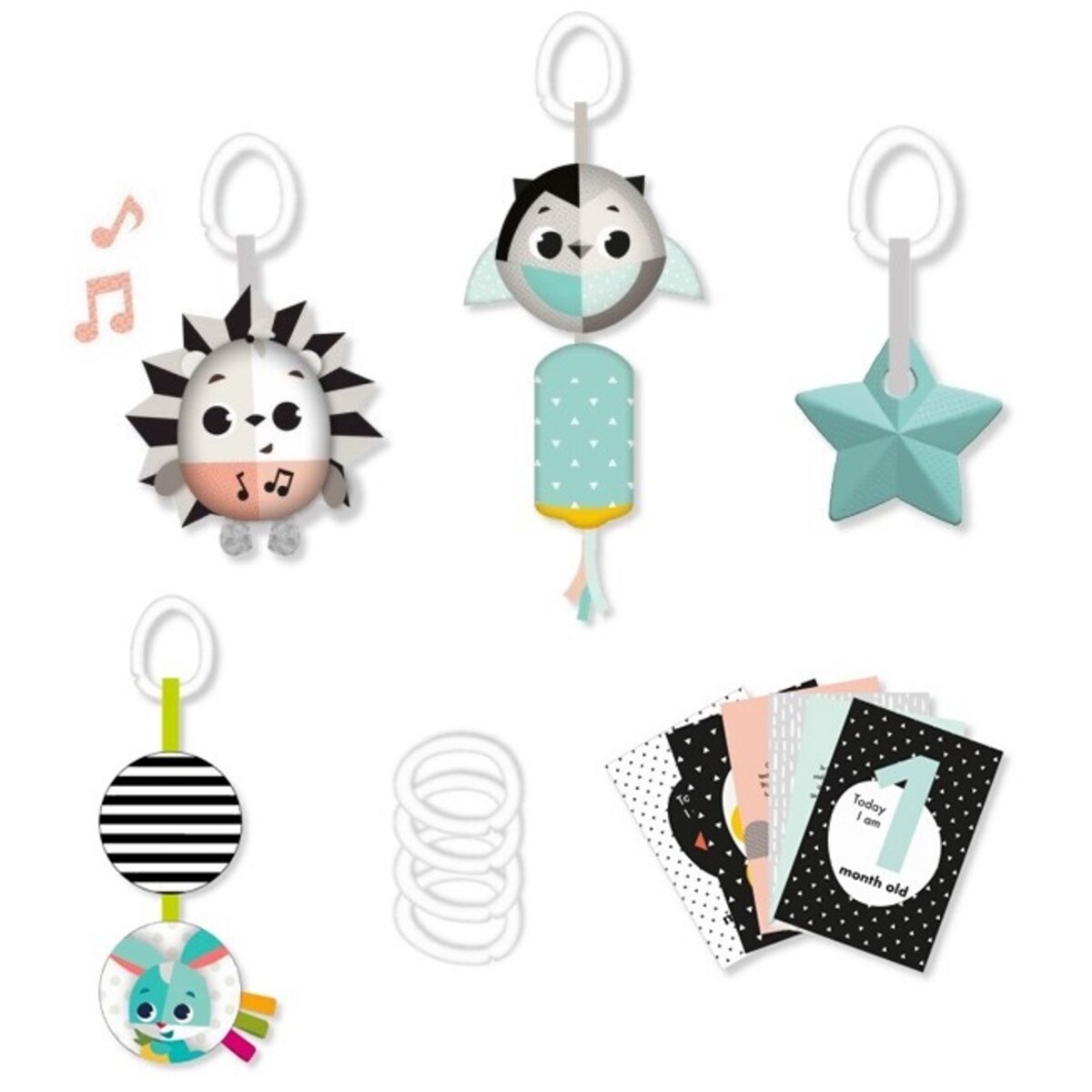 Zestaw zabawek dla dzieci z kartami do zdjęć - Magiczna Kraina