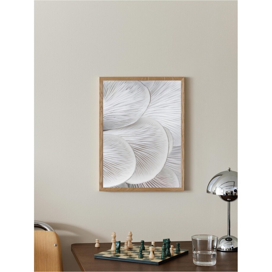 Poster Story, Plakat, Obraz - Skrzela Boczniaka No1, wymiary 21 x 30 cm