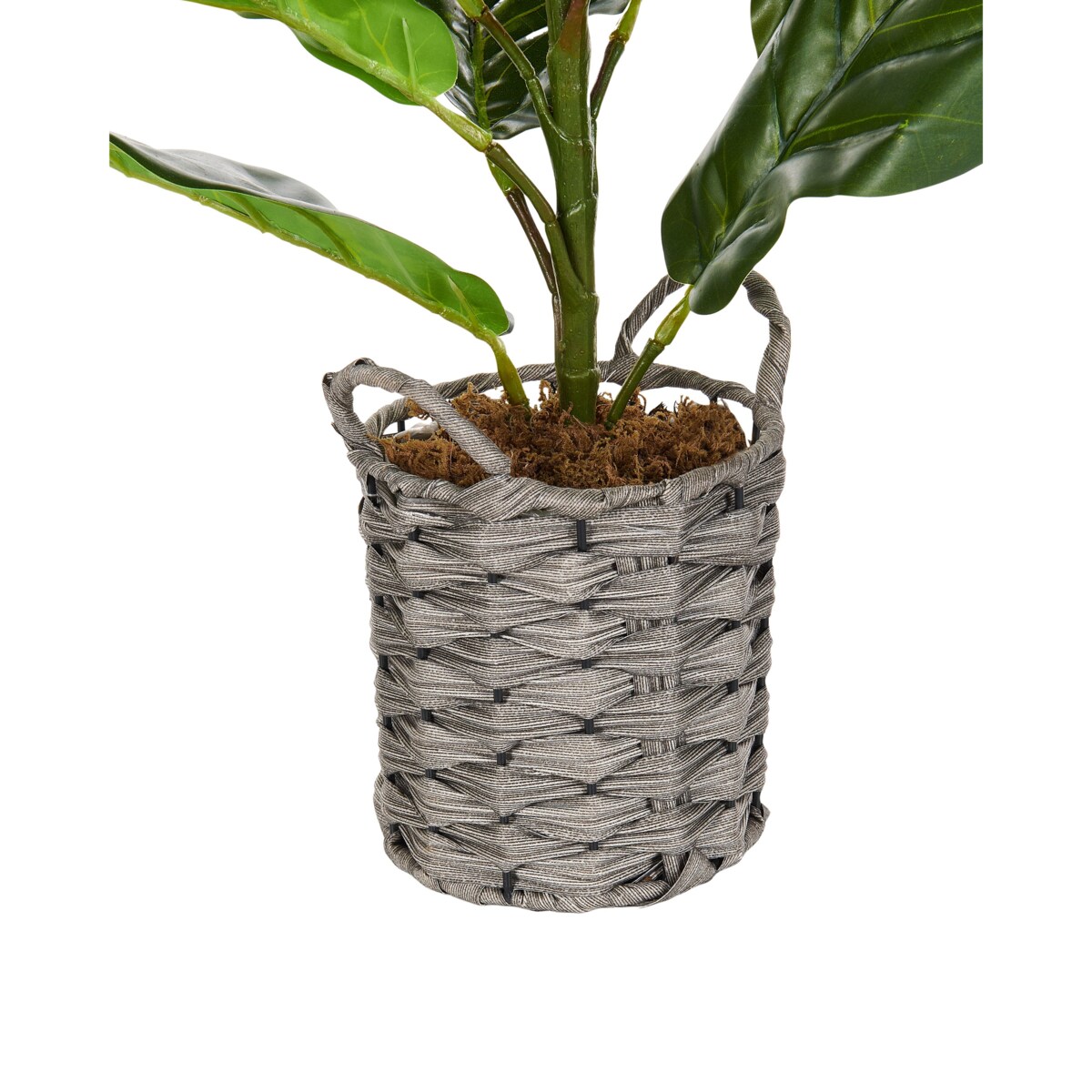 Sztuczna roślina FIDDLE LEAF TREE 72 cm Zielony