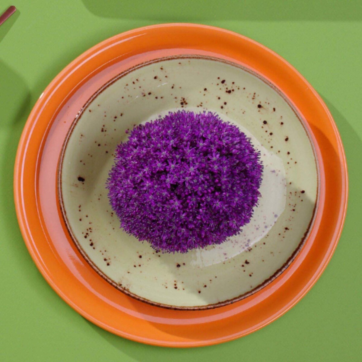 Filiżanka do kawy Dahlia, 230 ml