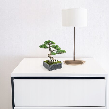 DONICZKA NA BONSAI PŁASKA 15x15 KWADRATOWA PŁYTKA NA PARAPET SZARA EKO