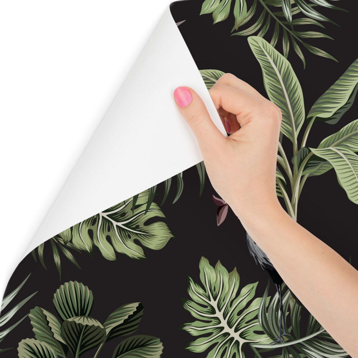 Tapeta liście tropikalne ptaki natura