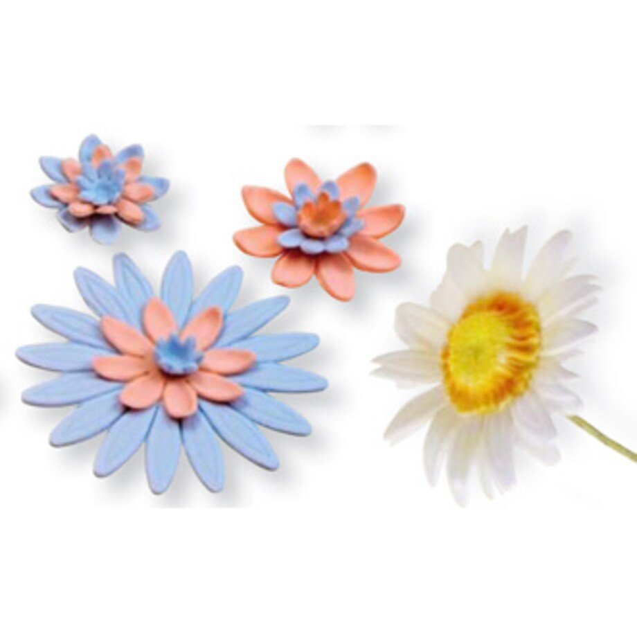 PME 3 Wykrawacze z tłokiem (stokrotka, gerbera, słonecznik)