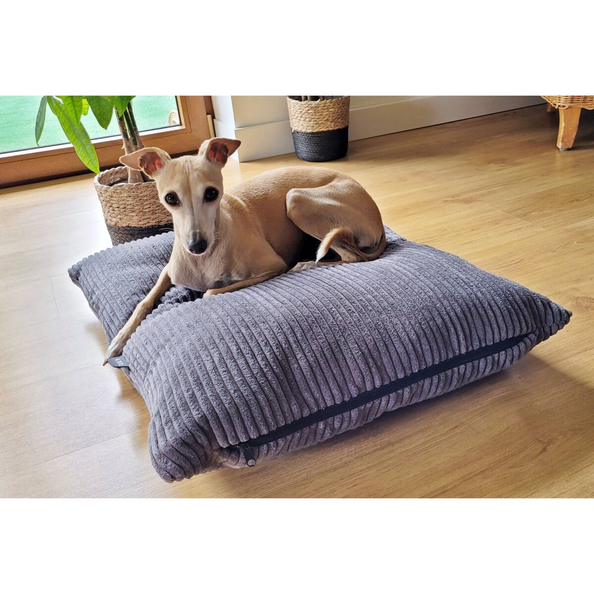 Poduszka dla psa ze sztruksu MOLLY, 100x80 cm, Grafit