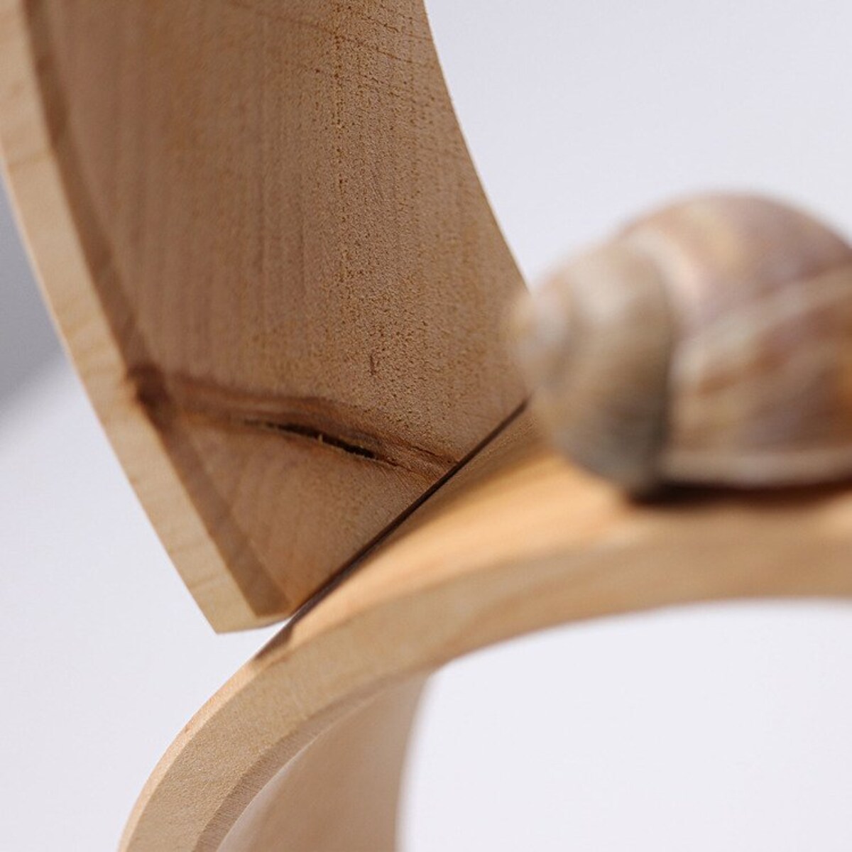 Tęcza Grimm's 12-elementowa - drewniane klocki naturalne 3+