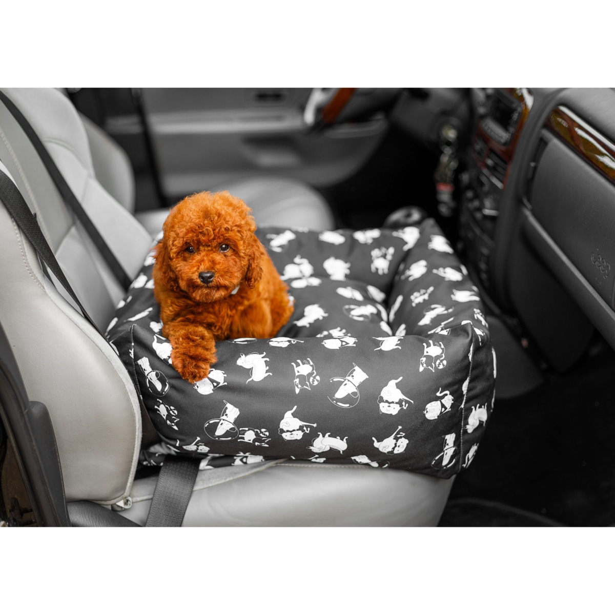 Animood Fotelik samochodowy Julian rozmiar: uniwersalny, kolor: wzór, materiał: kodura
