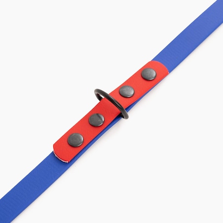 Smycz przepinana Biothane® dla psa lub kota "Indygo with Red" - Rozmiar: L, Szerokość taśmy: 16mm