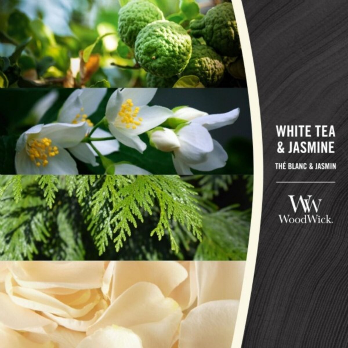 WoodWick świeca Elipsa WHITE TEA & JASMINE