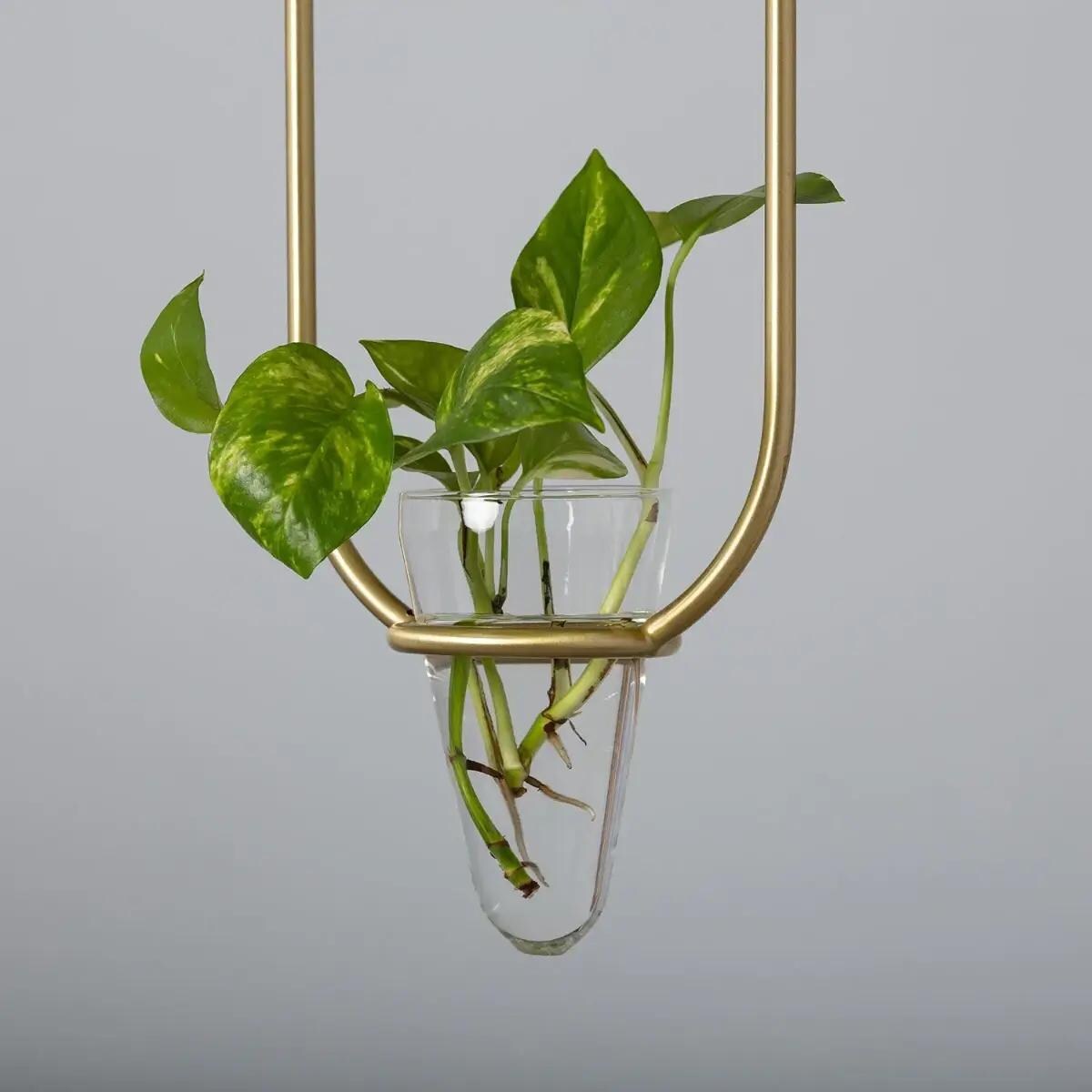 Jadalniana lampa wisząca Milano ABR-LWU-E27 Abruzzo doniczka kula złoty biały