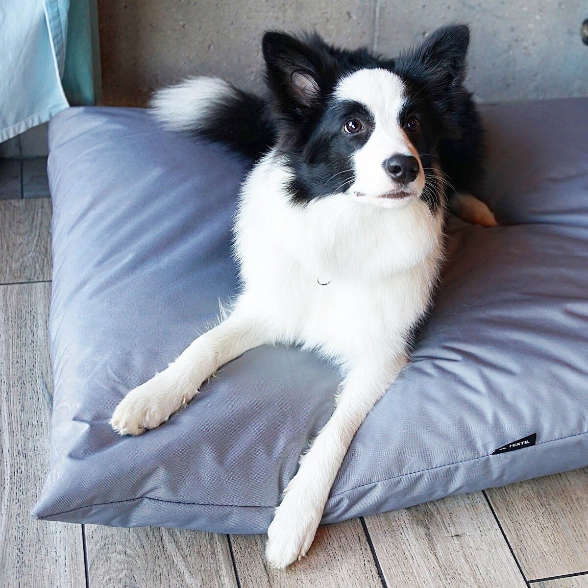 Wodoodporna poduszka dla psa ZOE, 100x80 cm, Szary