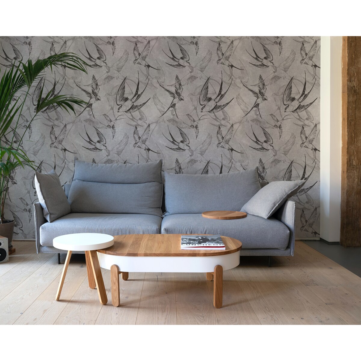 Tapeta Jaskółki, 416x254cm