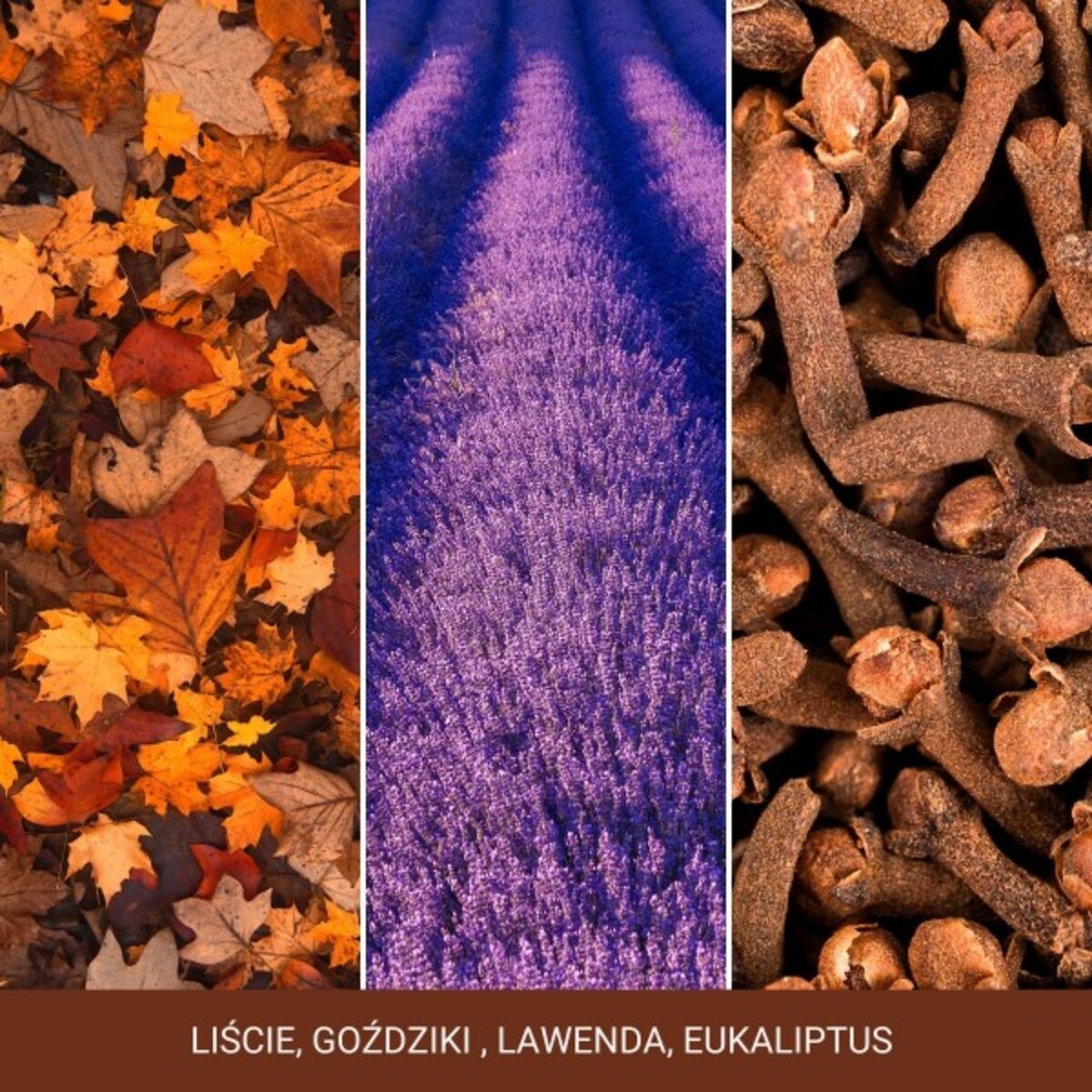 YC SIGNATURE - Świeca średnia AUTUMN DAYDREAM