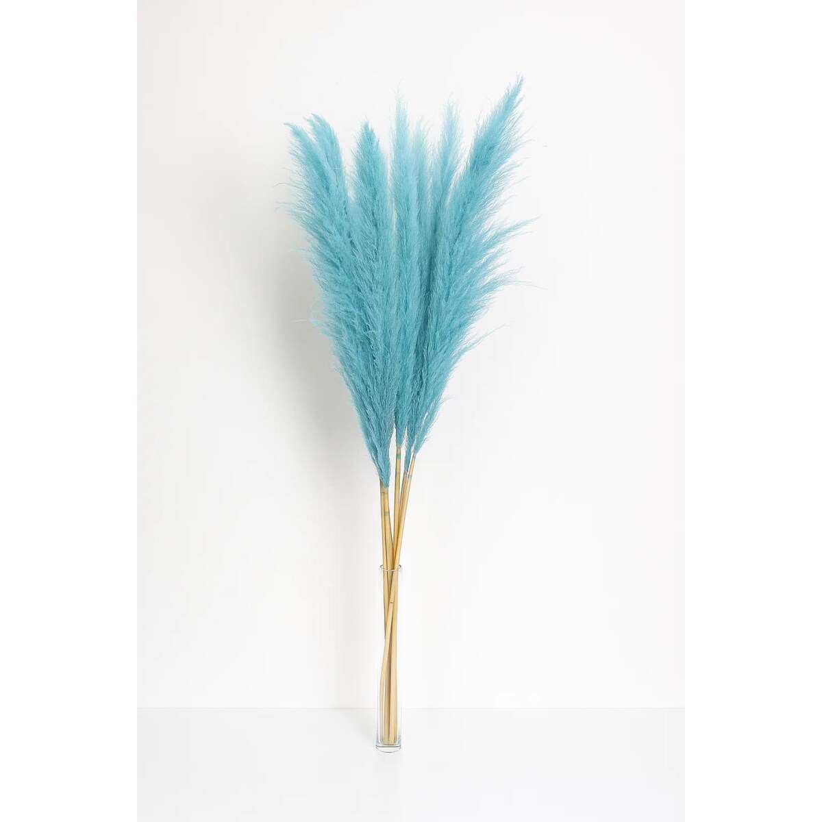 Zestaw 5 sztuk niebieskich stabilizowanych Traw Pampasowych| Wys.160 cm