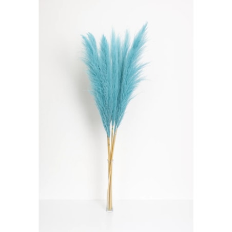Zestaw 5 sztuk niebieskich stabilizowanych Traw Pampasowych| Wys.160 cm