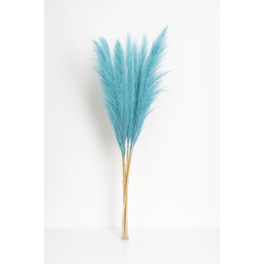Zestaw 5 sztuk niebieskich stabilizowanych Traw Pampasowych| Wys.160 cm
