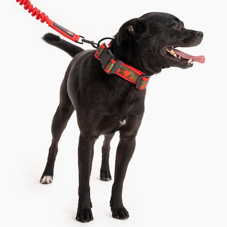 Obroża z klamrą SUPER SOFT "Psygarnij kropka" - Szerokość taśmy: 38mm, Rozmiar: L