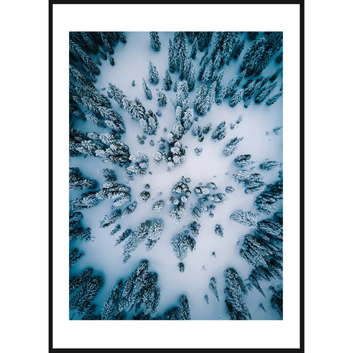 Poster Story, Plakat, Obraz - Zimowy Las, wymiary 50 x 70 cm