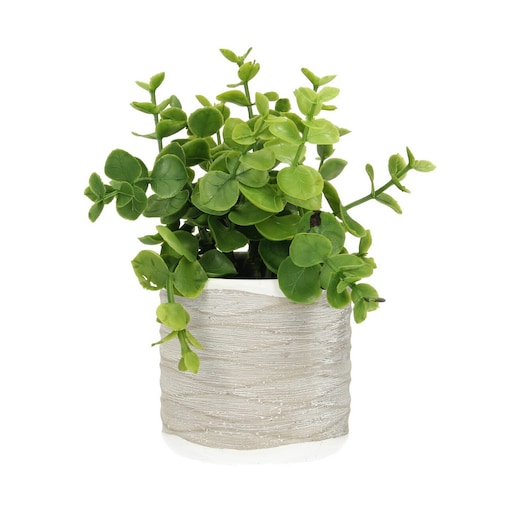 Dekoracja Eukaliptus 16cm, 8 x 8 x 16 cm