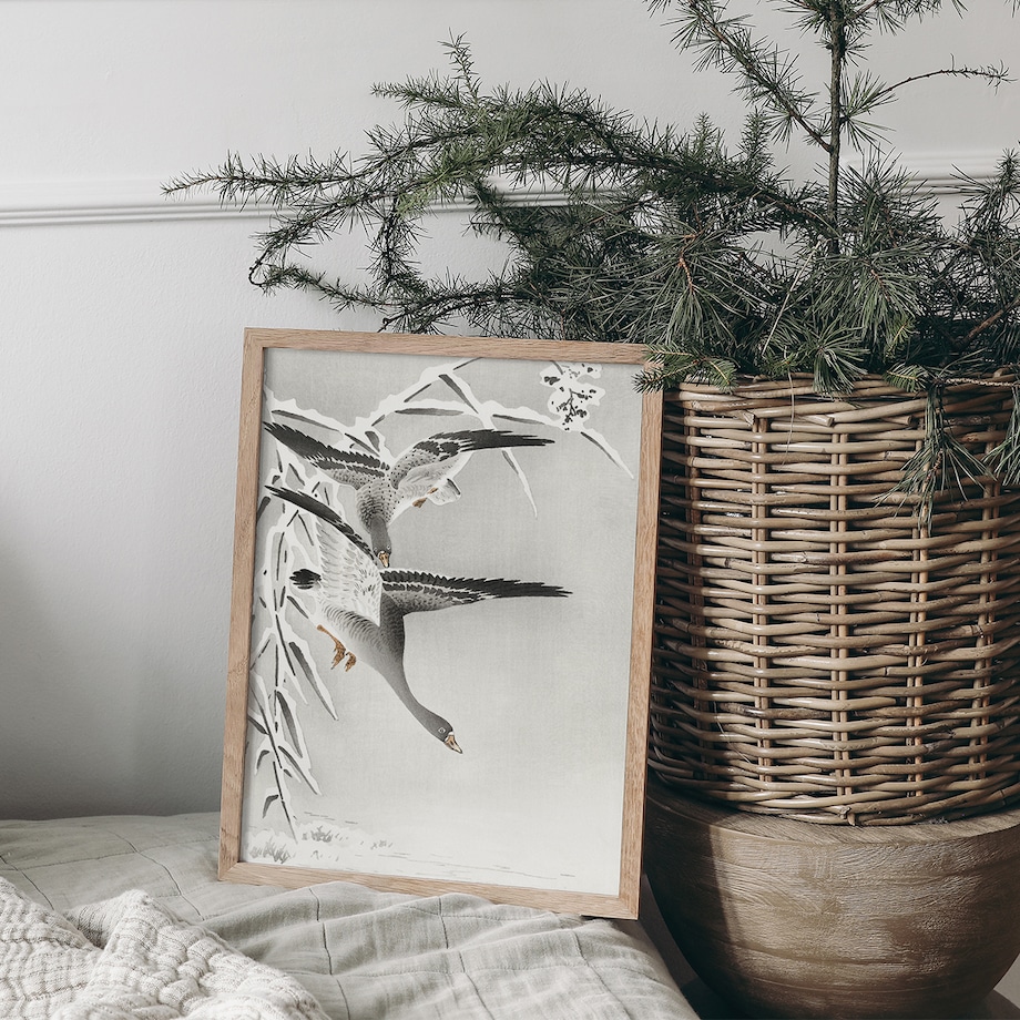 Plakat Gęsi 30x40cm