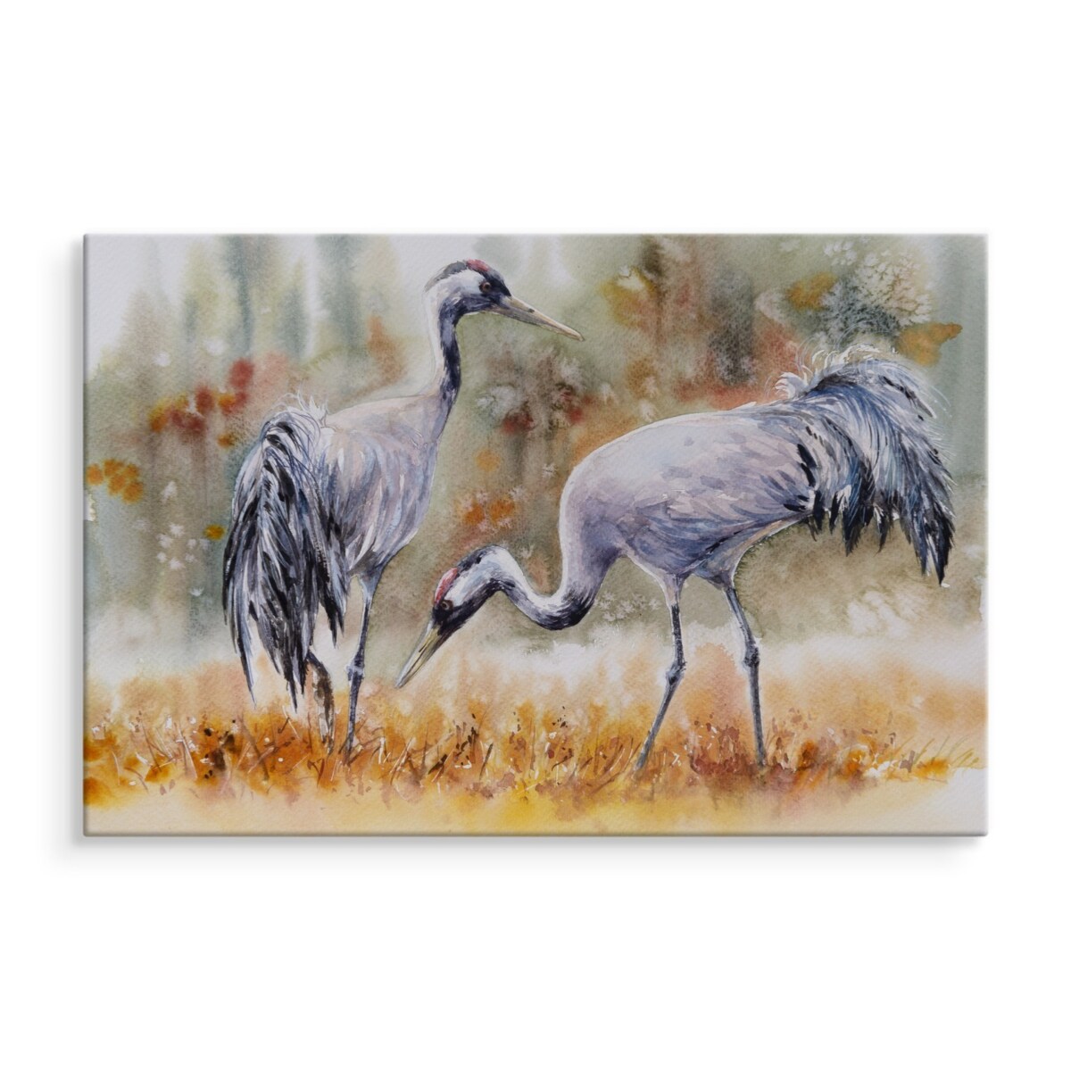 Obraz Na Płótnie Żurawie Malowane Akwarelą 70x50cm