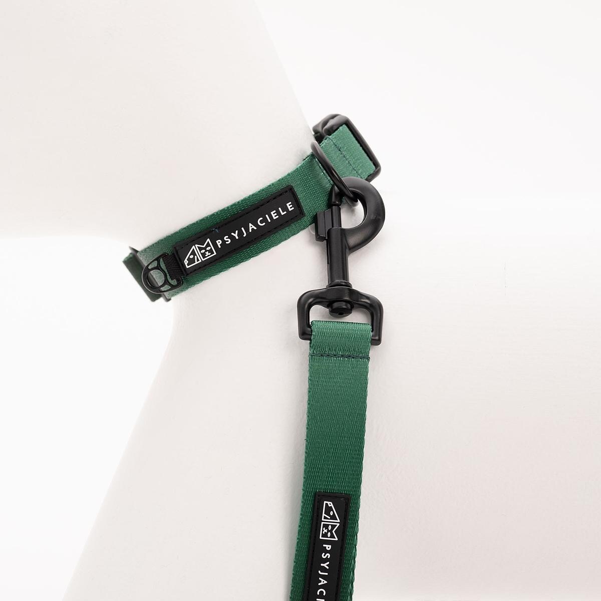 Obroża dla psa lub kota "Under my ombrella" ZIELEŃ - Szerokość taśmy: 25mm, Rozmiar: L