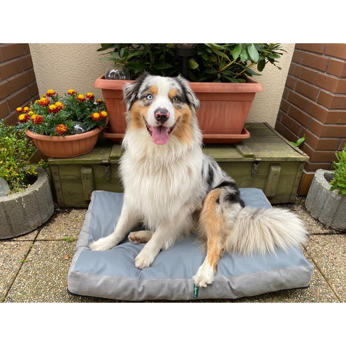 Legowisko materac dla psa z ekoskóry ENZO, 80x60 cm, Szary