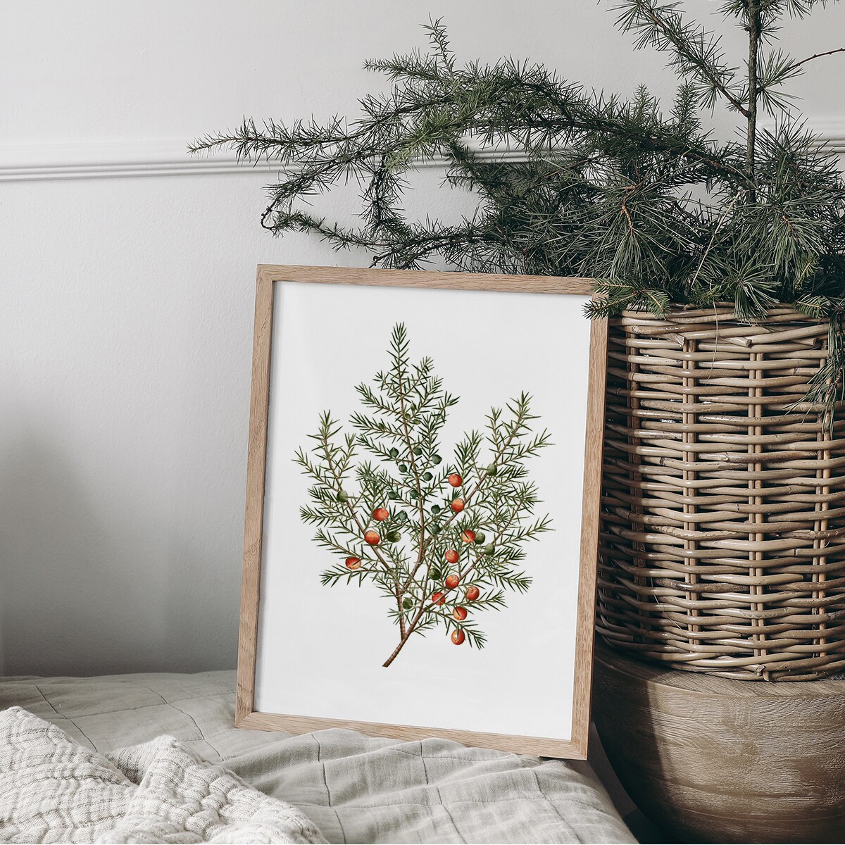 Plakat Jałowiec 21x30cm