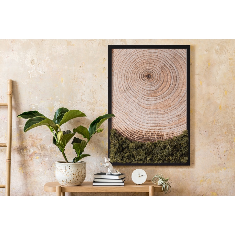 Obraz Słoje drewna - mech chrobotek w czarnej ramie 40x60cm