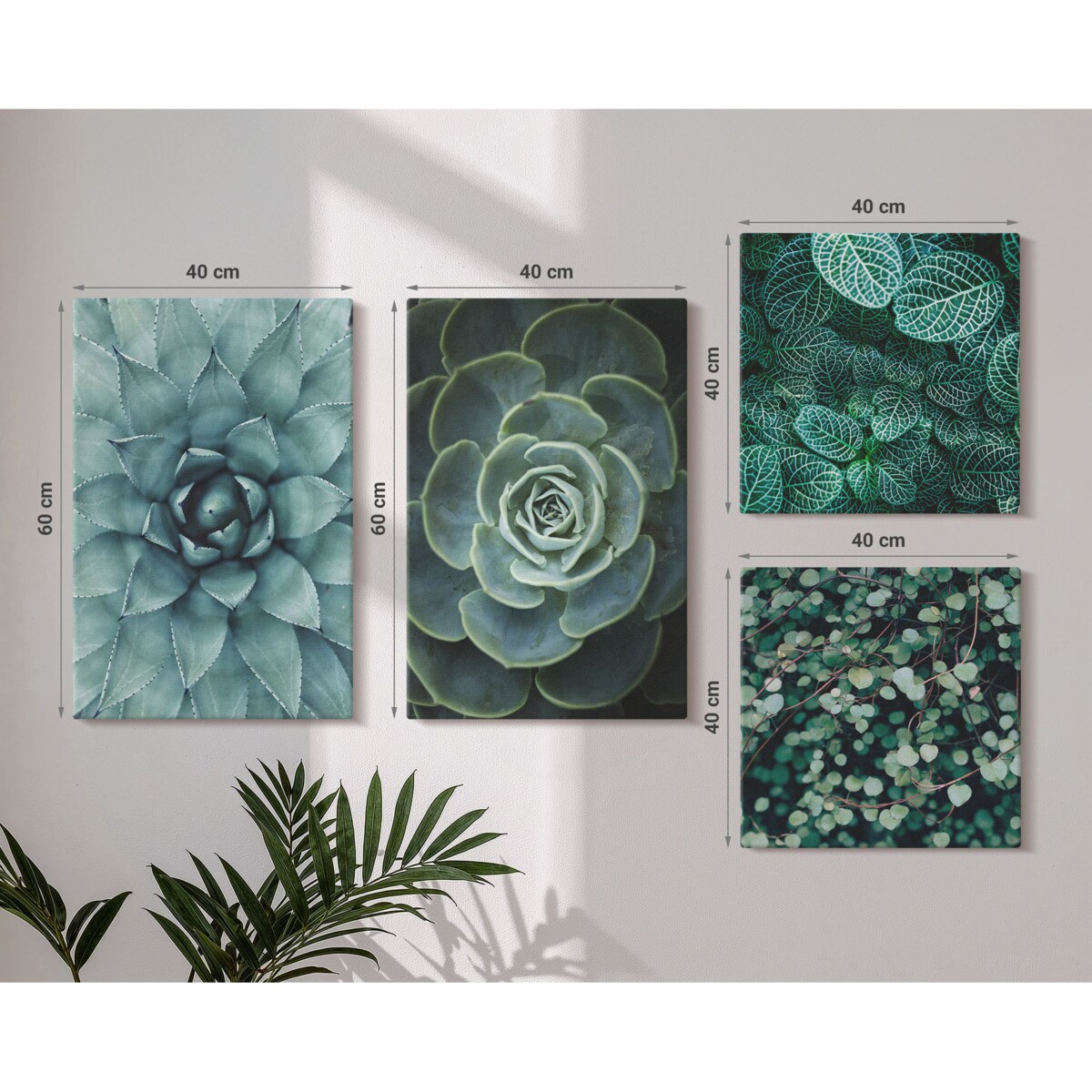 Zestaw 4 obrazów na płótnie - Sukulenty w zieleni i turkusie - zielony