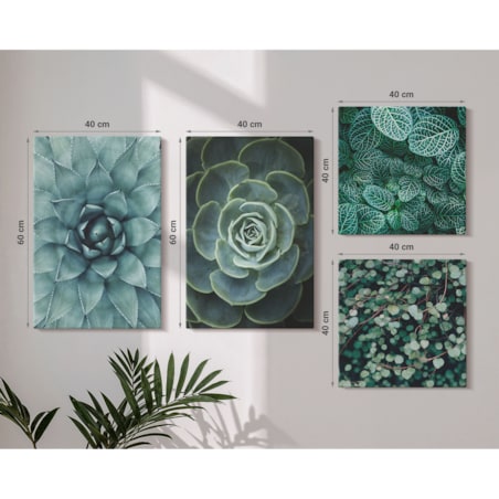 Zestaw 4 obrazów na płótnie - Sukulenty w zieleni i turkusie - zielony