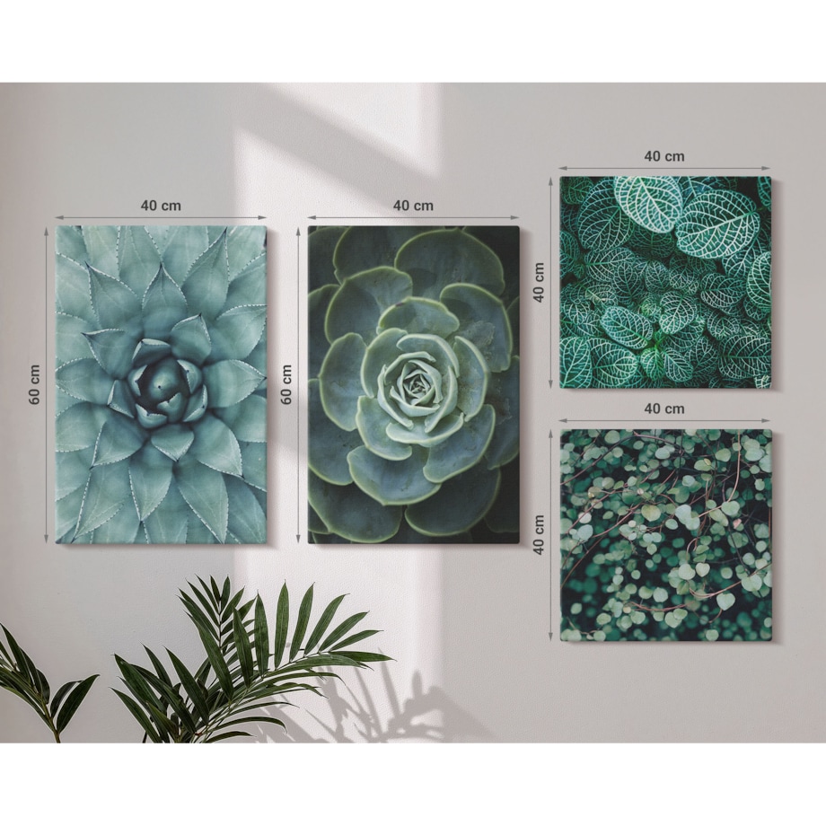 Zestaw 4 obrazów na płótnie - Sukulenty w zieleni i turkusie - zielony