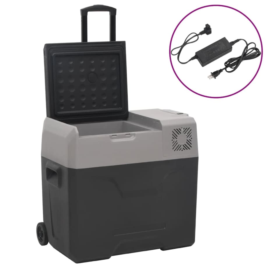 vidaXL Lodówka na kółkach, z zasilaczem, czarno-szara, 40 L, PP