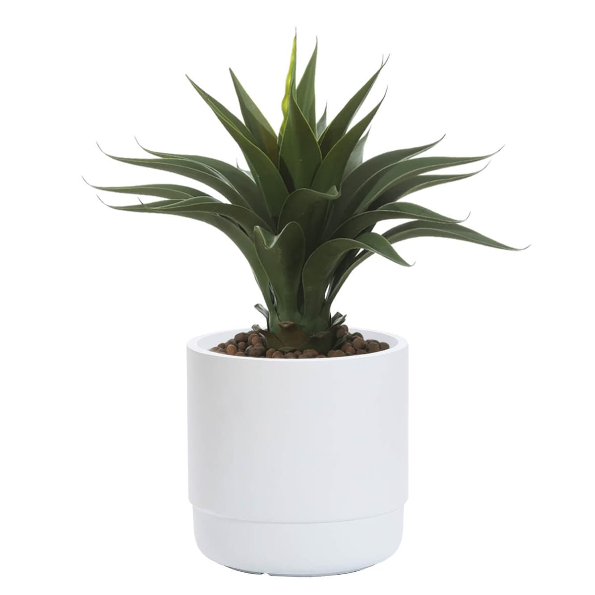 DONICZKA SANTIAGO WHITE S